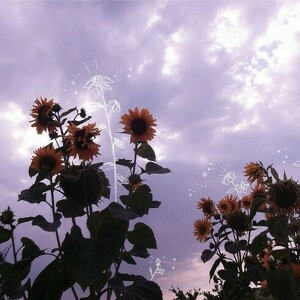 Fundraising Page: Aiman Khan